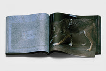 Load image into Gallery viewer, X-STaTIC PRO=CeSS, 2003