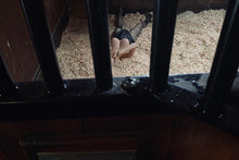 Load image into Gallery viewer, Death Kit YSL 22V1, 2020