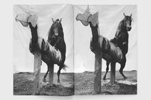 Load image into Gallery viewer, Stag Film, 2010