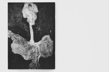 Load image into Gallery viewer, Stag Film, 2010