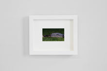 Load image into Gallery viewer, Death Kit YSL 23V1, 2020