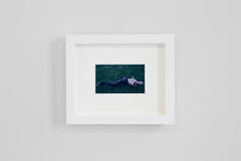 Load image into Gallery viewer, Death Kit YSL 37V2, 2020