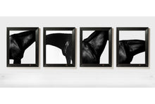 Load image into Gallery viewer, Horse Neck Quadriptych, 1995