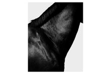 Load image into Gallery viewer, Horse Neck Quadriptych, 1995