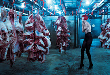 Load image into Gallery viewer, KLEIN | VOGUE, 2025
