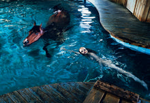 Load image into Gallery viewer, KLEIN | VOGUE, 2025
