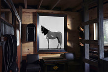 Load image into Gallery viewer, Horse Black Hood, 1995
