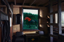 Load image into Gallery viewer, Horse with Red Hood, 1995
