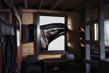 Load image into Gallery viewer, Horse Neck (Prancer), 2004
