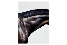 Load image into Gallery viewer, Horse Neck (Prancer), 2004
